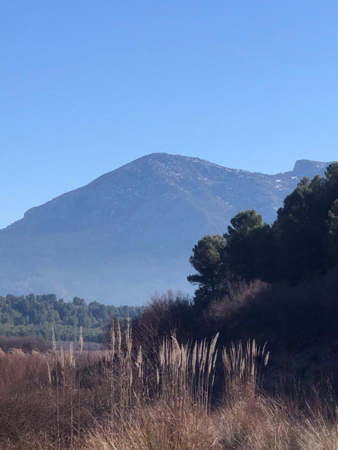 Apartamentos Rurales Mirador Del Negratin Cuevas del Campo Εξωτερικό φωτογραφία