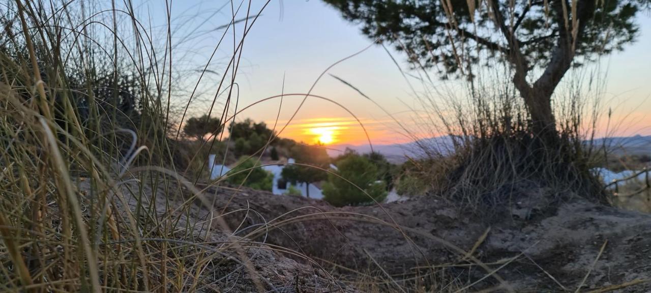 Apartamentos Rurales Mirador Del Negratin Cuevas del Campo Εξωτερικό φωτογραφία